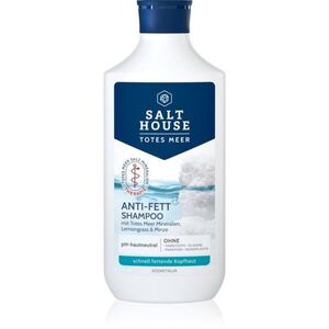 Salt House Dead Sea Therapy Anti-grease Shampoo sampon zsíros fejbőrre 250 ml kép
