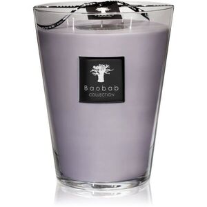 Baobab Collection All Seasons White Rhino illatgyertya 3000 g kép