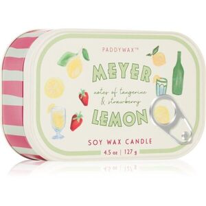 Paddywax Bistro Meyer Lemon illatgyertya 127 g kép