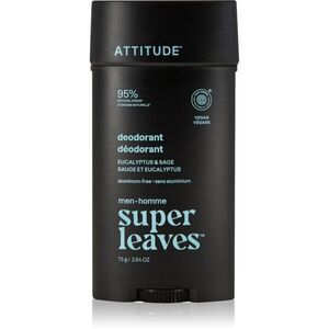 Attitude Super Leaves Men Deodorant dezodor alumíniummentes uraknak Eucalyptus & Sage 75 g kép