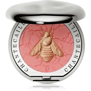 Chantecaille Cheek Shades arcpirosító 2.5 g kép