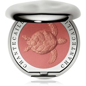 Chantecaille Cheek Shades arcpirosító Turtle Grace 2.5 g kép