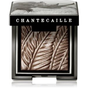Chantecaille Luminescent Eye Shades gyöngyházas szemhéjfestékek Rhinoceros 2.5 g kép