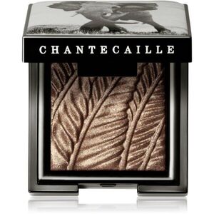 Chantecaille Luminescent Eye Shades gyöngyházas szemhéjfestékek Elephant 2.5 g kép