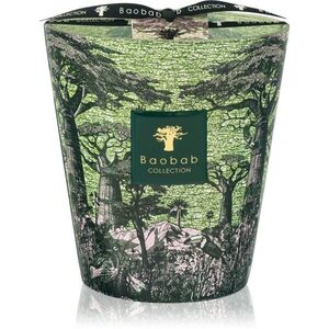 Baobab Collection Sacred Trees Touba illatgyertya 1100 g kép