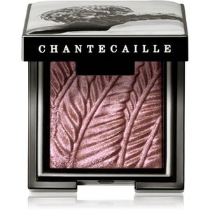 Chantecaille Luminescent Eye Shades gyöngyházas szemhéjfestékek Pangolin 2.5 g kép