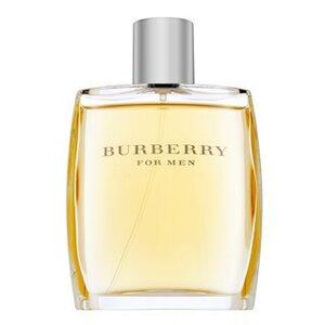 Burberry For Men Eau de Toilette férfiaknak 100 ml kép