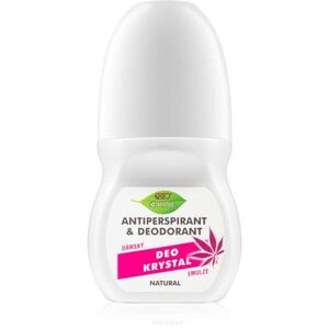 Bione Cosmetics Cannabis golyós dezodor roll-on rózsa illattal 80 ml kép