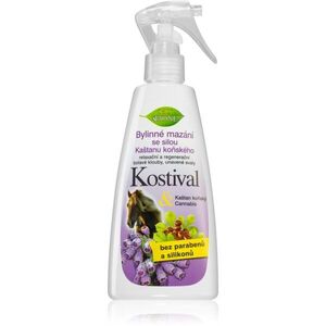 Bione Cosmetics Cannabis Comfrey kenderes kenés az izmokra és az izületekre 260 ml kép