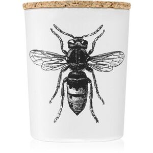 Vila Hermanos Insect Calabrone illatgyertya 75 g kép