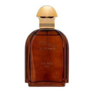 Jaguar Oud For Men Eau de Parfum férfiaknak 100 ml kép