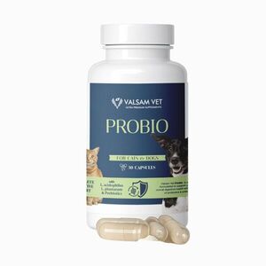 PROBIO - probiotikumok és prebiotikumok kutyák és macskák számára 30 kapszula - Valsam Vet kép