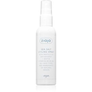 Ziaja Antioxidant Care Sea Salt Styling Spray styling spray tengeri sóval 90 ml kép