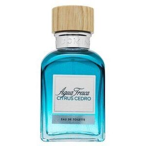 Adolfo Dominguez Agua Fresca Citrus Cedro Eau de Toilette férfiaknak 120 ml kép