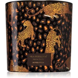 Vila Hermanos Jungletopia Savage Africa illatgyertya 620 g kép