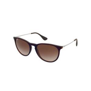 Ray-Ban Ray-Ban Erika RB4171 631513 kép