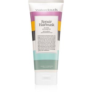 Waterclouds Repair Hairmask regeneráló és hidratáló hajmaszk 200 ml kép