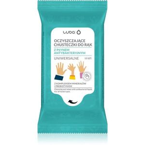 Luba Antibacterial Wet Wipes nedves tisztító törlőkendők kézre 15 db kép