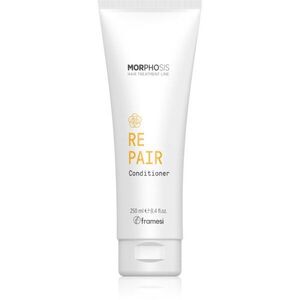Framesi Morphosis Repair megújító kondicionáló száraz, károsult hajra 250 ml kép