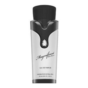 Armaf Magnificent Pour Homme Eau de Parfum férfiaknak 100 ml kép