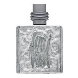Cerruti 1881 Silver Eau de Toilette férfiaknak 100 ml kép