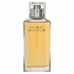 Davidoff Horizon Eau de Toilette férfiaknak 125 ml kép