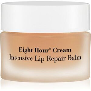 Elizabeth Arden Eight Hour intenzív ajakbalzsam 10 g kép