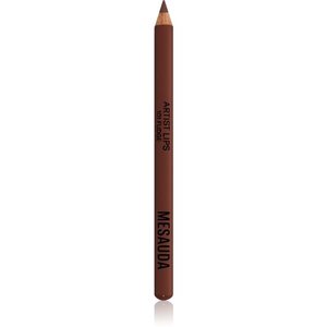 Mesauda Artist Lips szájkontúrceruza árnyalat 101 Fudge 1.14 g kép