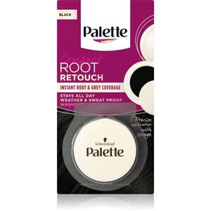 Schwarzkopf Palette Compact Root Retouch korrektor az ősz hajszálakra púderes hatással árnyalat Black 3 g kép