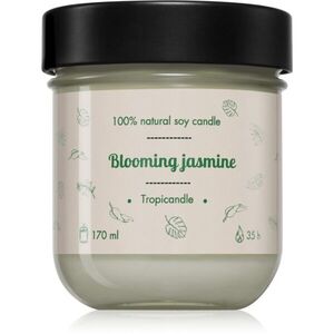 Tropicandle Blooming Jasmine illatgyertya 170 ml kép