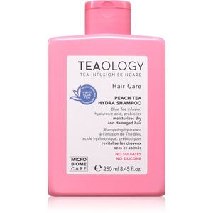 Teaology Peach Tea Hydra Shampoo hidratáló sampon károsodott haj erősítésére 250 ml kép