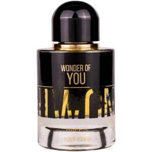 Wonder of You for Men EDP 100 ml kép