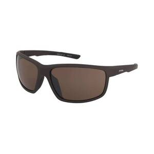 Alpina Alpina Defey Tin Matt-Black/CM Brown kép