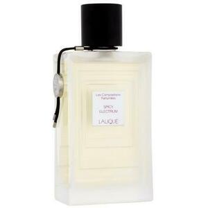Spicy Electrum EDP 100 ml kép