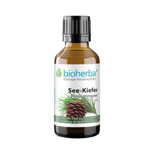 Tengerparti fenyő tinktúra cseppek – 50 ml – Bioherba kép