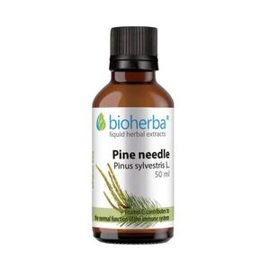 Bioherba Erdeifenyő-hajtás tinktúra cseppek – 50 ml kép