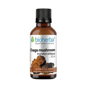 Chaga tinktúra cseppek – 50 ml – Bioherba kép