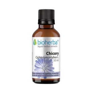 Cikória (kávécikória) tinktúra cseppek – 50 ml – Bioherba kép