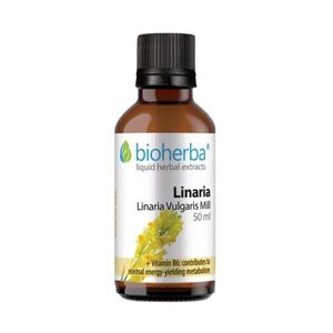 Közönséges gyújtoványfű tinktúra cseppek, 50 ml - Bioherba kép