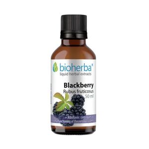 Bioherba Szeder tinktúra cseppek - 50 ml kép