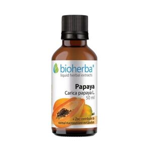 Bioherba Papája tinktúra cseppek – 50 ml kép