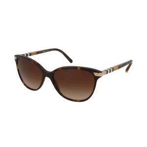 Burberry Burberry BE4216 300213 kép
