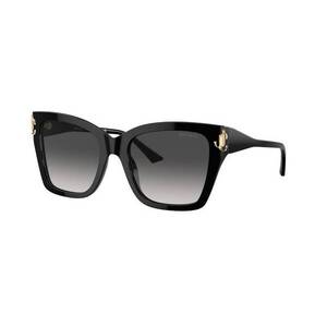 Jimmy Choo Jimmy Choo JC5012 50008G kép