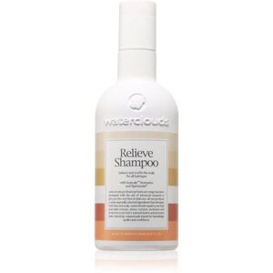 Waterclouds Relieve sampon korpásodás ellen 250 ml kép