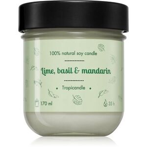 Tropicandle Lime, Basil & Mandarin illatgyertya 170 ml kép