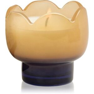 Paddywax Tulip Garden & Grove illatgyertya 155 g kép