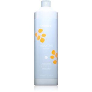 Echosline Hydrating Shampoo hidratáló sampon száraz és rakoncátlan hajra 1000 ml kép