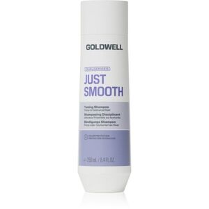 Goldwell Dualsenses Just Smooth Taming Shampoo kisimító sampon 250 ml kép