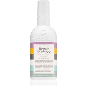 Waterclouds Repair Shampoo gyengéden ápoló sampon 250 ml kép