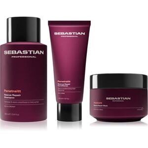 Sebastian Professional Penetraitt Bundle szett sérült, vegyileg kezelt hajra kép